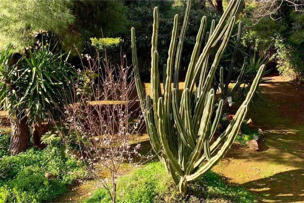 Athens Riviera Garden Views Apartment #Unoblu Dış mekan fotoğraf